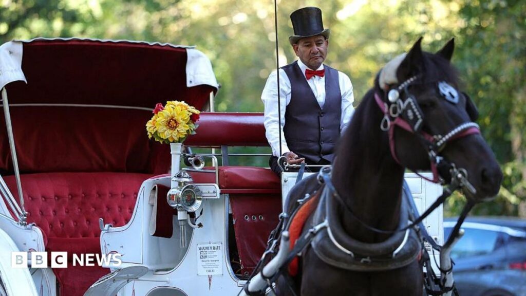 New York bans horse-drawn carriages in Central Park, ending 160‑year tradition in 2026