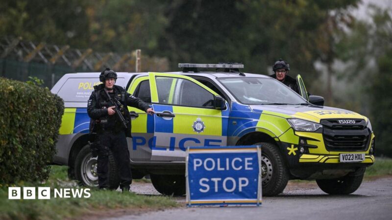 UK‑Iranian dual national 25‑year‑old bailed after Westminster arrest over RAF Fairford incident – what it means