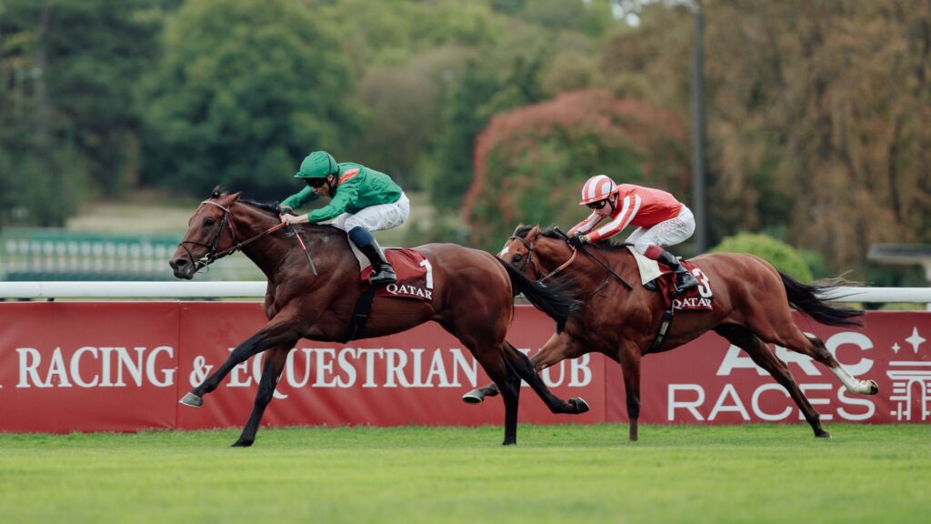Arc 2026 Winner Guide: Jamie Lynch Picks, African Owners & Betting Impact