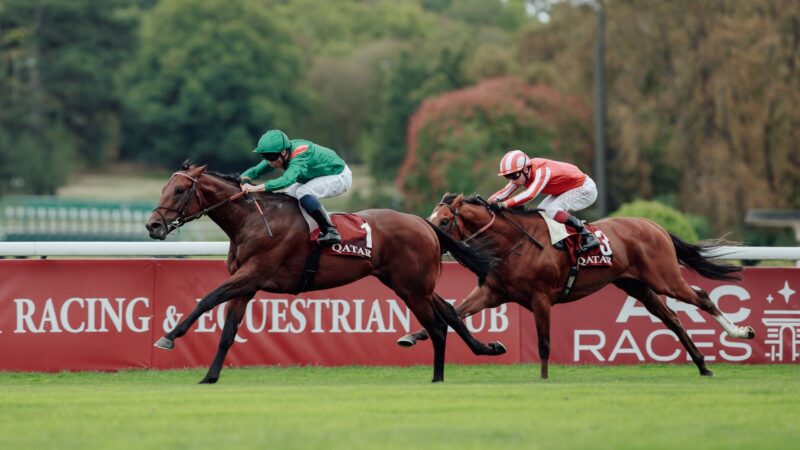 Arc 2026 Winner Guide: Jamie Lynch Picks, African Owners & Betting Impact